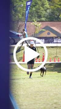 BIB:  <button type="button" onclick="openModal(26581201)" class="btn btn-primary btn-sm float-right" data-toggle="modal" data-target=".modal-high-quality">
                <i class="fa fa-download"></i> Download
                </button>